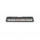 Casio LK-S250 Casiotone Keyboard