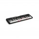 Casio LK-S250 Casiotone Keyboard
