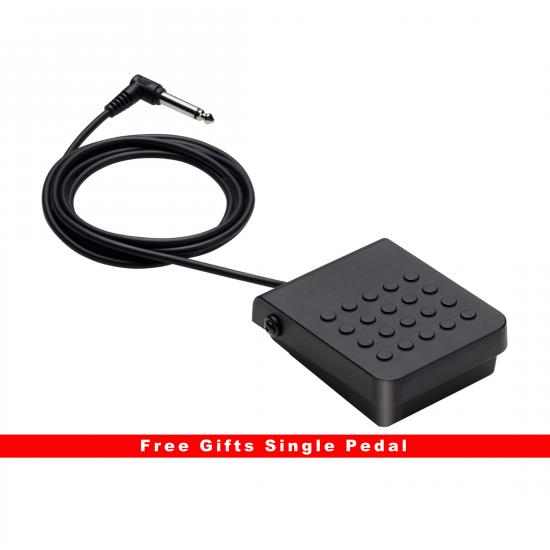 Casio LK-S250 Casiotone Keyboard